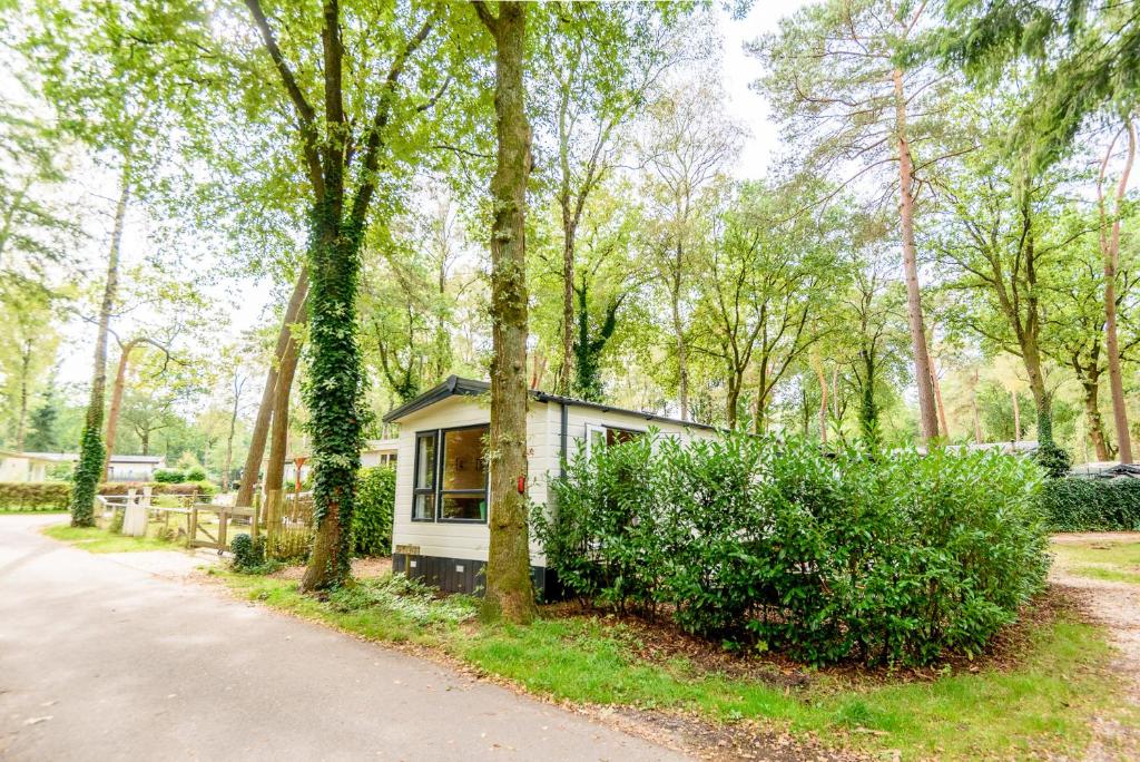 una pequeña casa en el bosque al lado de una carretera en Veluwe Chalet aan het bos - Kids - Pool - Dog, en Hoenderloo