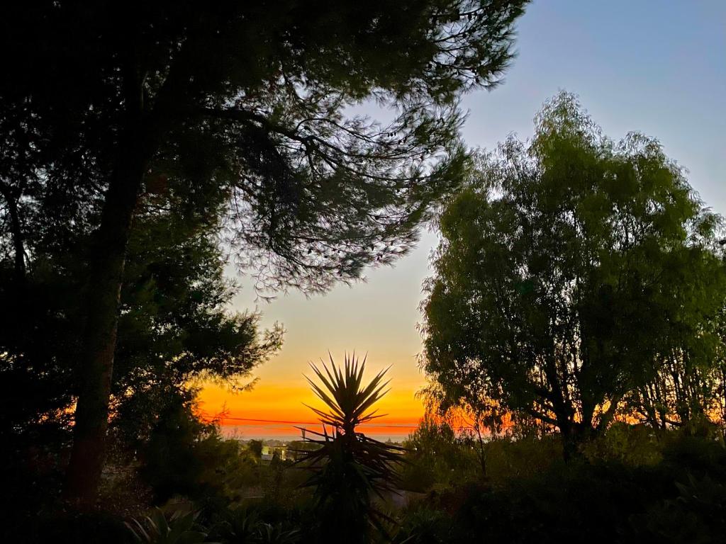 a sunset over the ocean with trees in the foreground at Giardinello Stagnone Sunset in Marsala