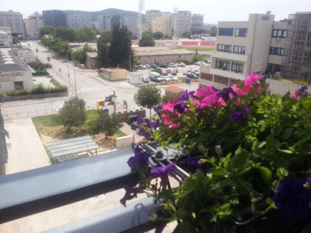 Okolie apartmánu