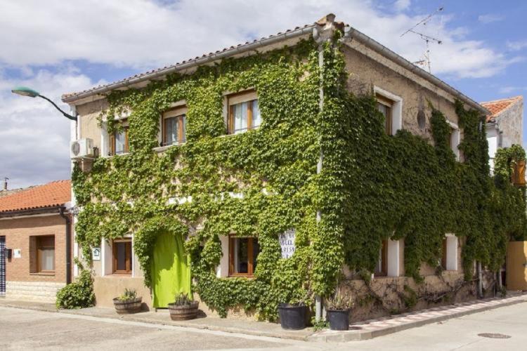 budynek pokryty zielonym bluszczem na ulicy w obiekcie Casa rural de la Abuela w mieście Cadreita