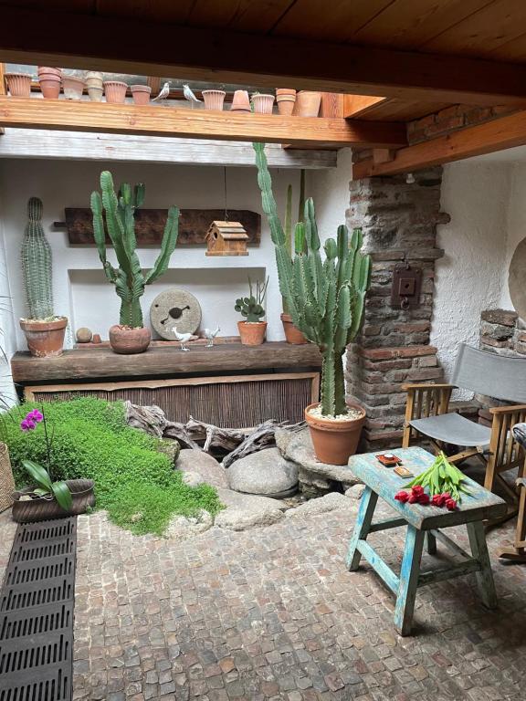 Zahrada ubytování Romantik Hotel U Raka