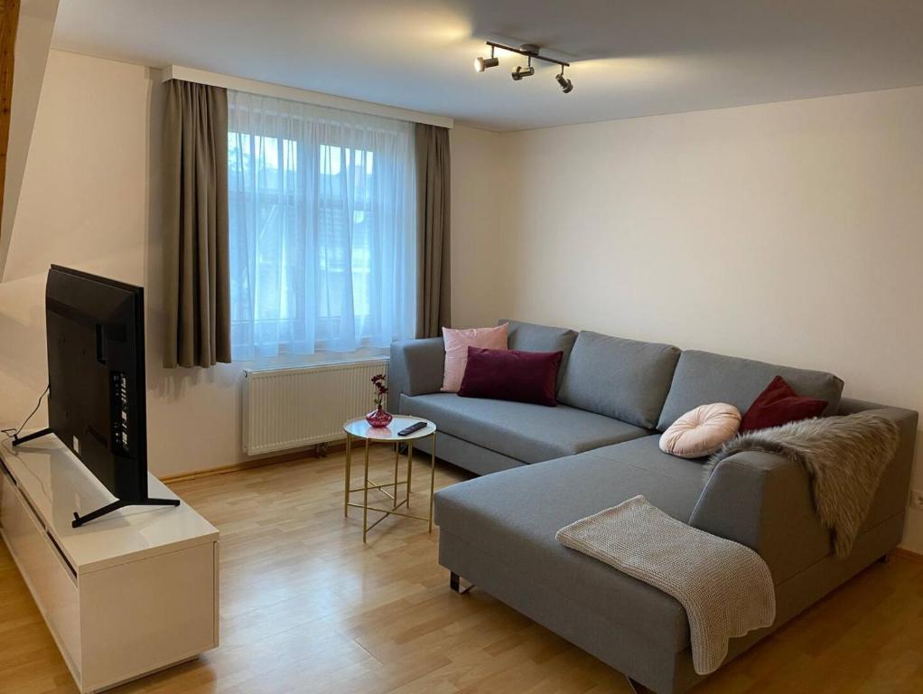 a living room with a couch and a tv at Bodensee Wohnung 3 mit Privatstrand in Gaißau