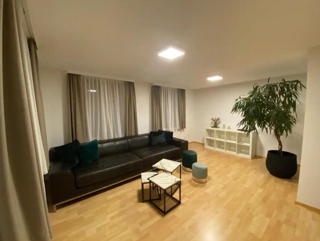 un salon avec un canapé noir et une plante en pot dans l'établissement Bodensee Wohnung 2 mit Privatstrand, à Gaißau