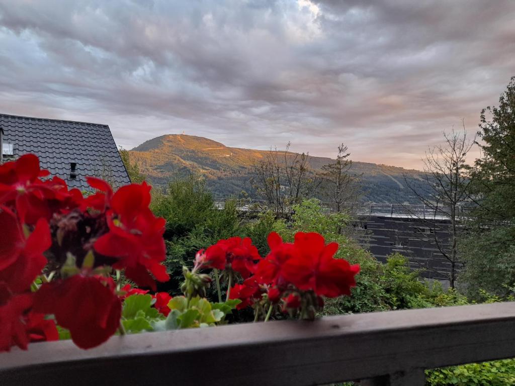 a view of red flowers on a balcony with mountains at Willa pod Orłem in Szczyrk