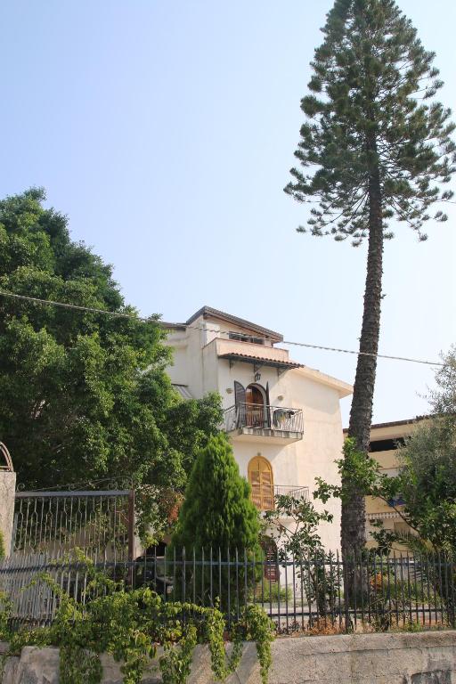 Biały dom z drzewem przed nim w obiekcie Sole Nascente Apartment w mieście Giardini Naxos