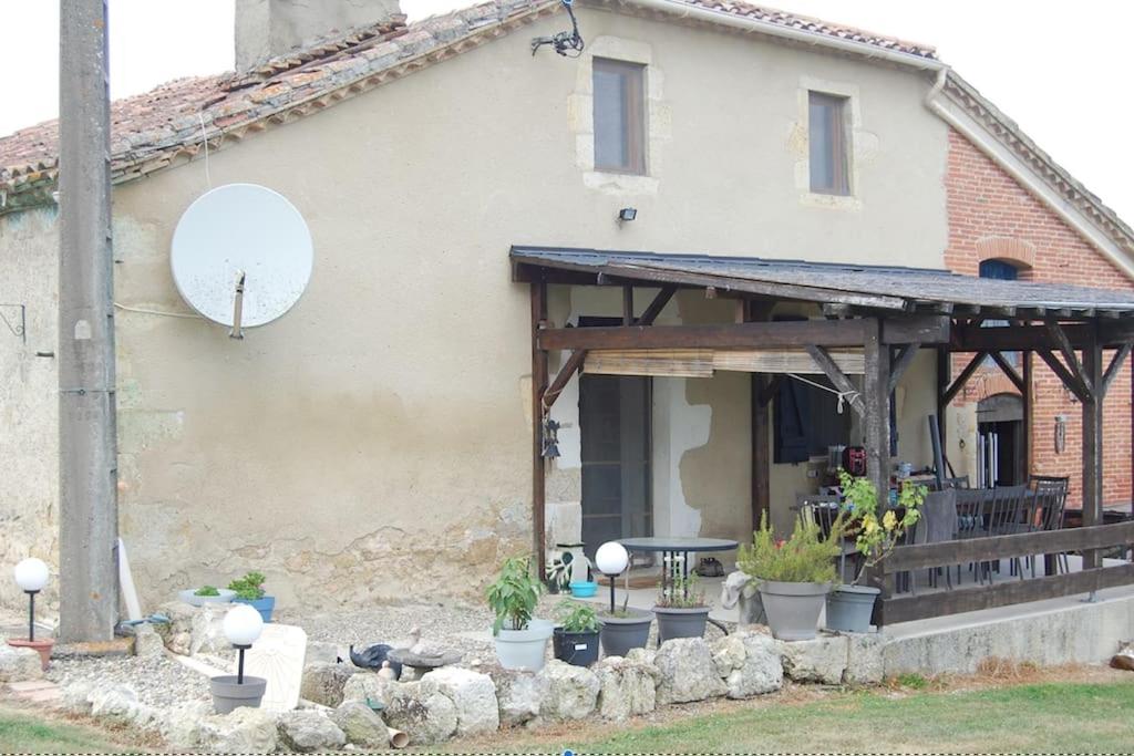 The Blue Cat Studio, Terraube Updated 2024 Prices