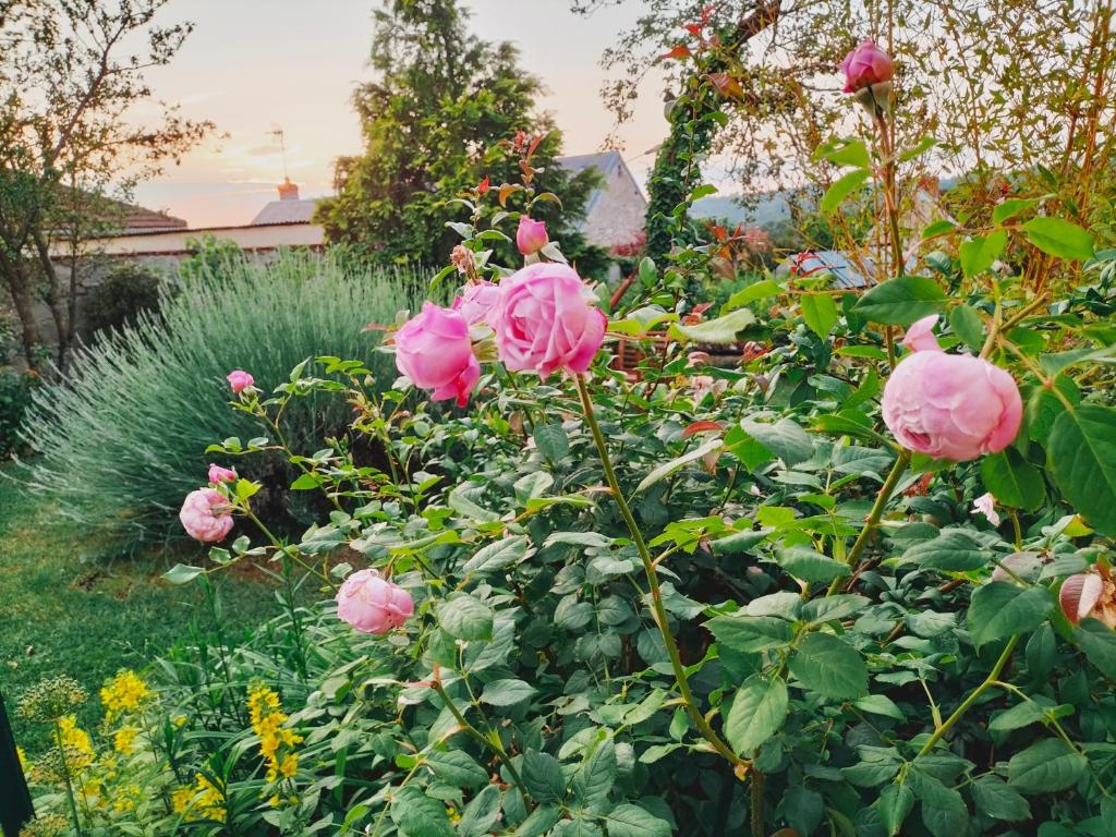 Um jardim em Chambre Hortense