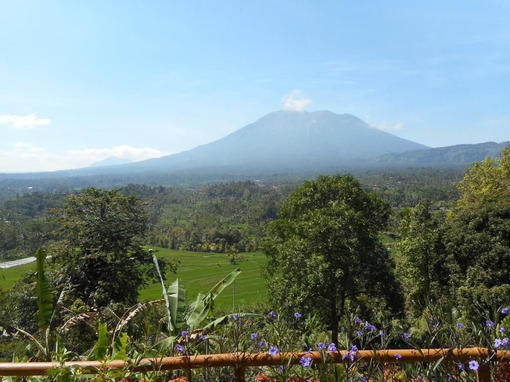 einen Berg in der Ferne mit einem Feld und Bäumen in der Unterkunft Villa Dukuh in Selat