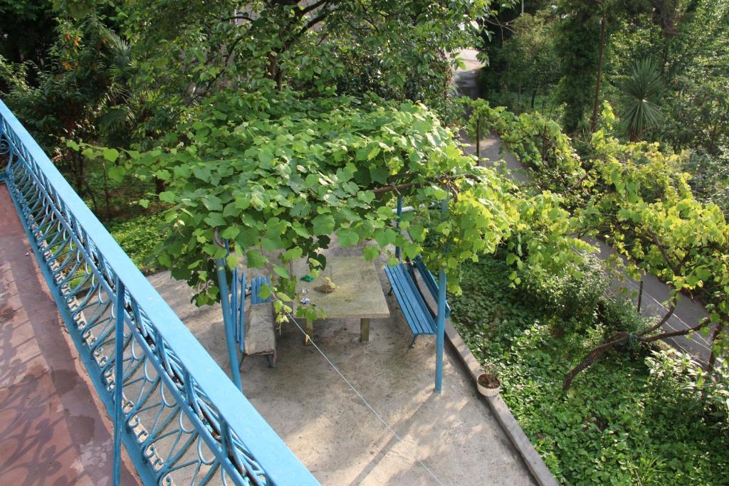 Zahrada ubytování Achi Guest House