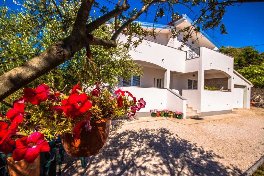 a house with red flowers in front of it at Apartment Green in Zadar