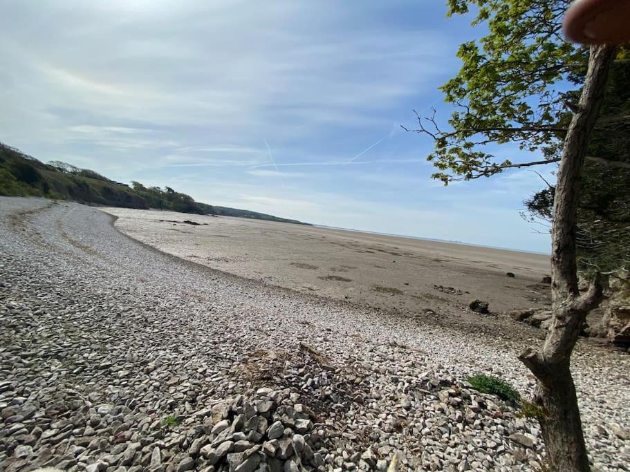 a rocky beach with a tree on the side of it at Seaside & Lake District retreat in Arnside