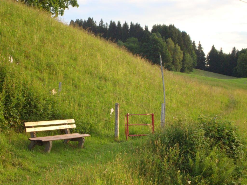 Příroda nedaleko hotelu