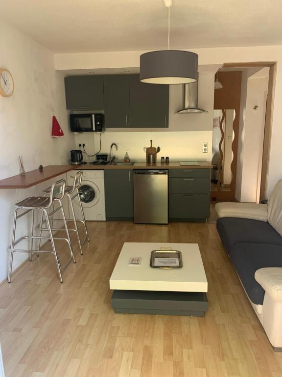 eine Küche und ein Wohnzimmer mit einem Sofa und einem Tisch in der Unterkunft Beau T2 meublé récent in Bouliac