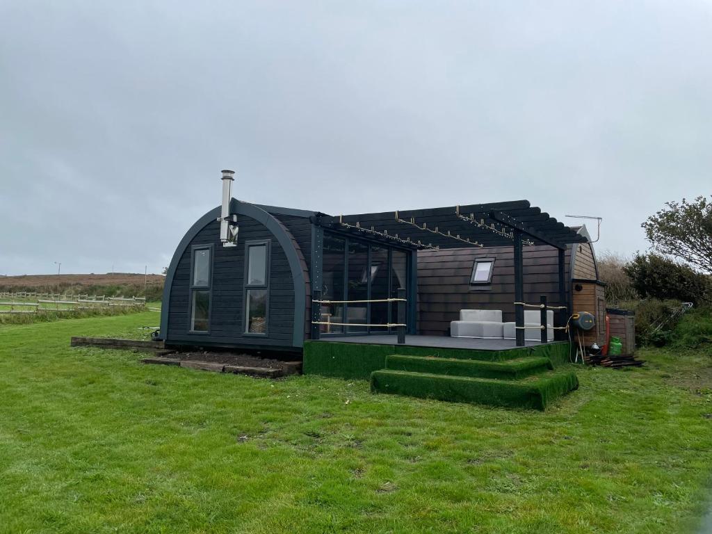 a small green house in a field of grass at ThePod in Penzance