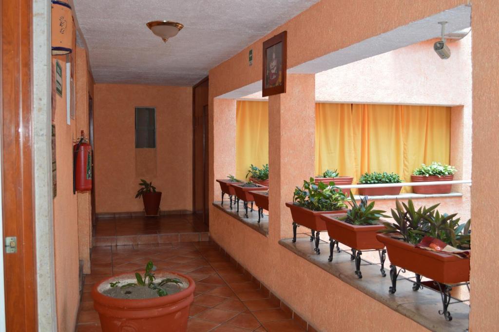 Fotografie z fotogalerie ubytování Hotel La Rienda Mision Tequillan v destinaci Tequila