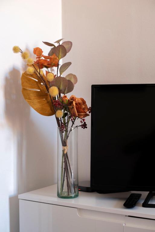 TV a/nebo společenská místnost v ubytování Várfal-Lak apartman