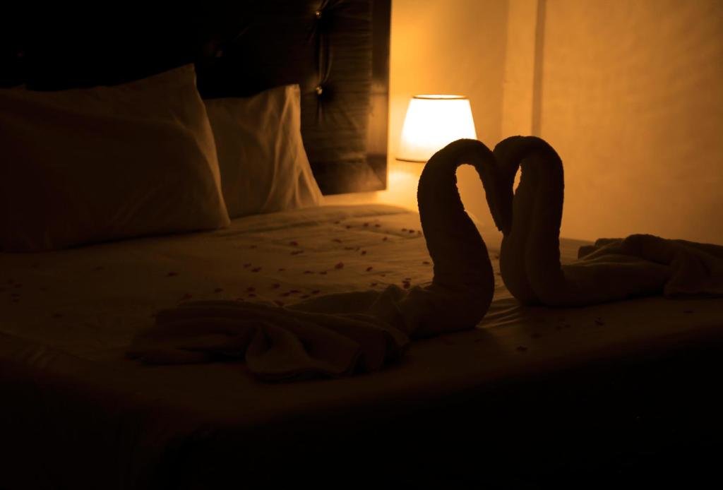 two swans laying on a bed in a dark room at Plaza View Hostel in Taiyiba