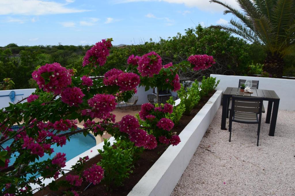 Bazén v ubytování Saint Joris a tiny Boutique Resort nebo v jeho okolí