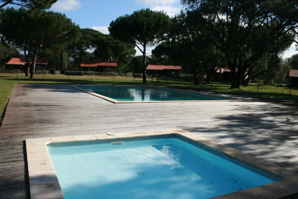 une piscine avec un sol en béton et des arbres dans l'établissement Aldeamento Turístico da Companhia das Lezírias, à Samora Correia