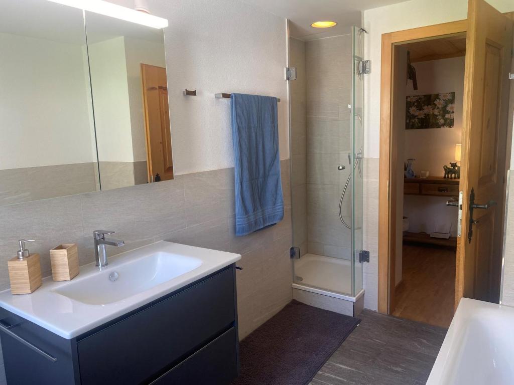 La salle de bains est pourvue d'un lavabo et d'une douche. dans l'établissement Apartment Margherita, à Sedrun