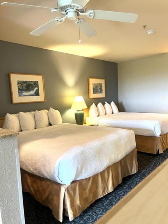 Postel nebo postele na pokoji v ubytování Lighthouse Suites Inn