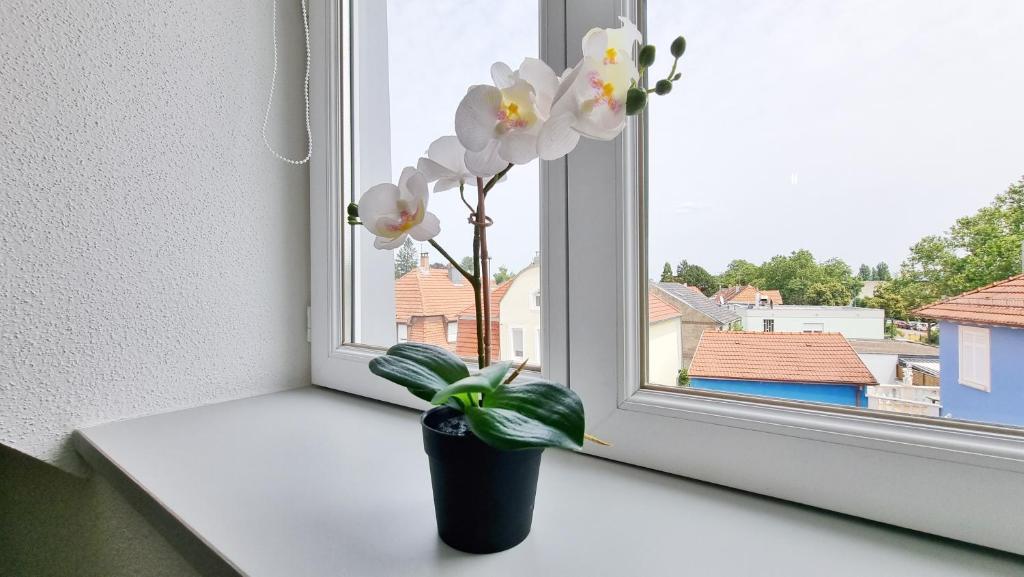 Le Triplex - 5 chambres - 10 pers- Fibre - Relax BNB – photo 48