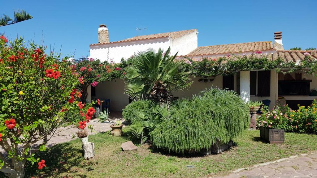Villino Mery a Calasetta - Lussuosa villa con piscina