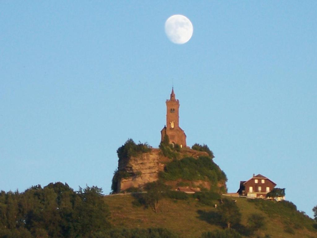 Příroda nedaleko hotelu