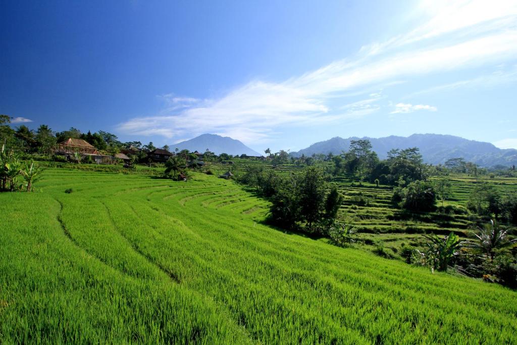 Paesaggio naturale nelle vicinanze dell'affittacamere