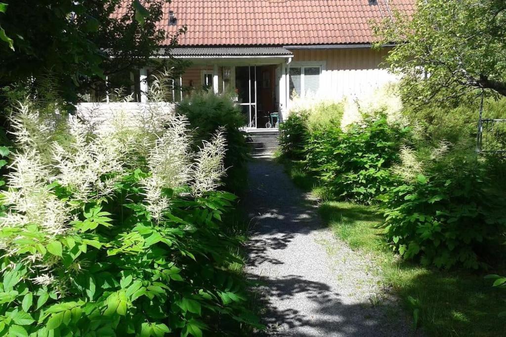 a garden with white plants in front of a house at Hus uthyres i natursköna Glava, Arvika in Glava