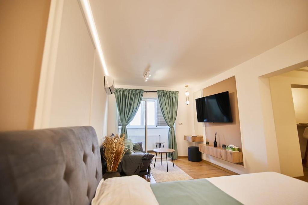 1 dormitorio con sofá y TV en una habitación en ChECk apartment, en Focşani