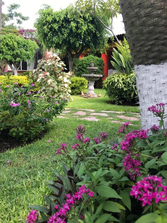 Chiconcuac的住宿－Quinta Villamarim，一座花园,花园内种有粉红色的花卉,喷泉