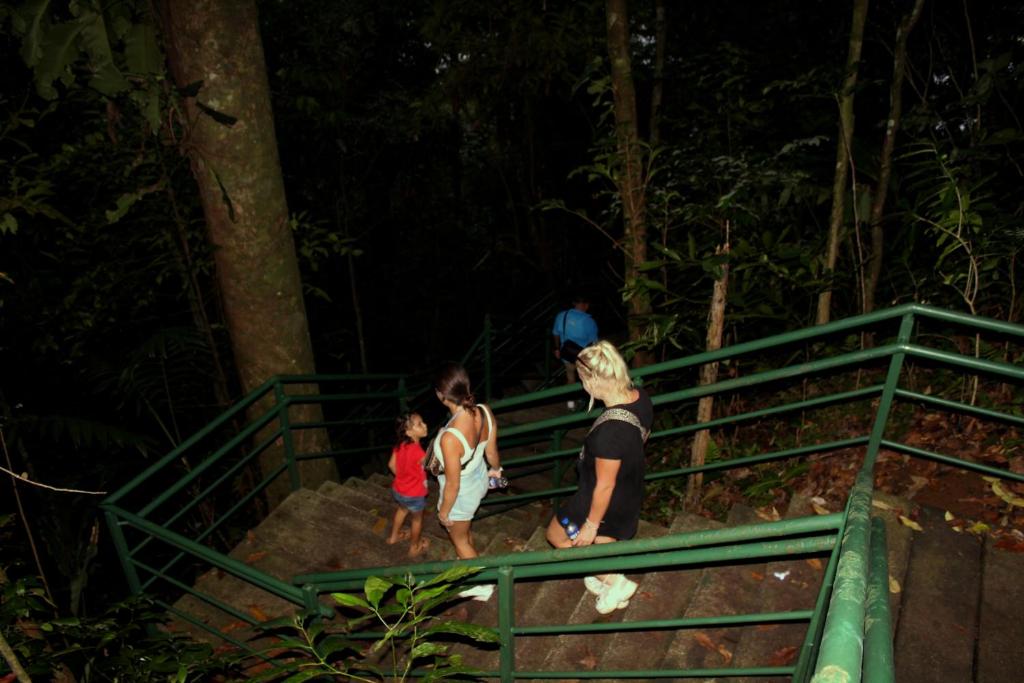 Hosté ubytování Hostel Tortuguero 7BackPackers