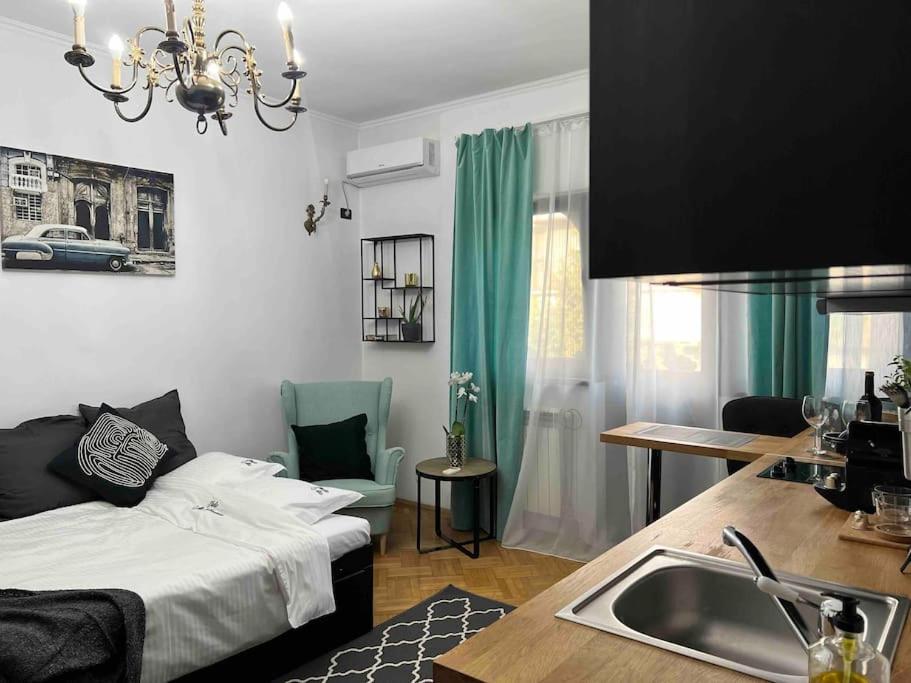 eine Küche mit einem Bett und einem Waschbecken in einem Zimmer in der Unterkunft Studio Villa Floreasca in Bukarest