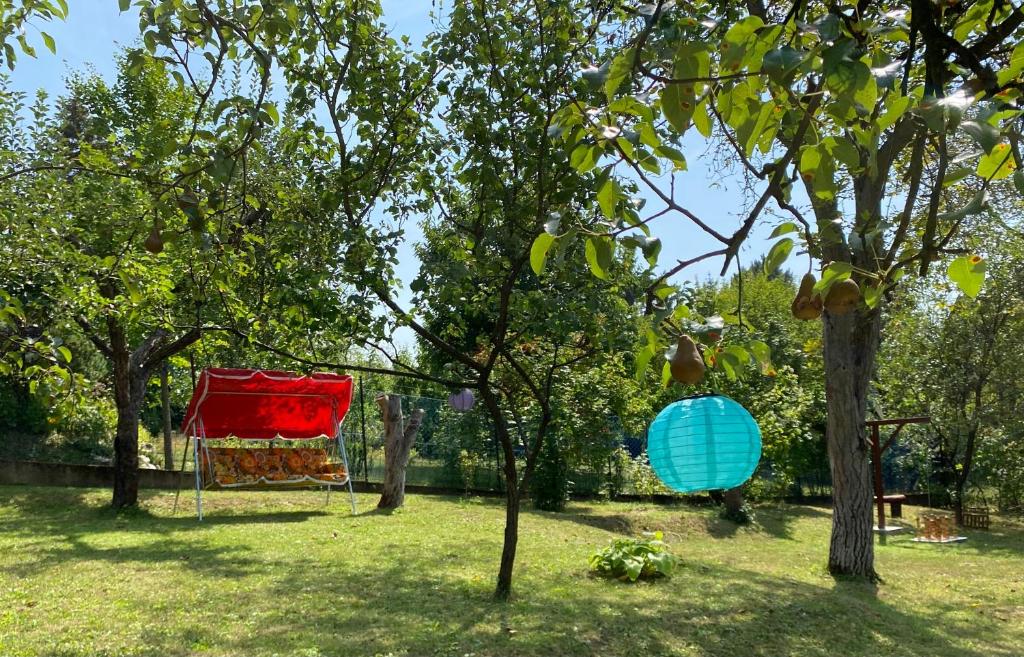 Aed väljaspool majutusasutust Szegfű33 Vendégház