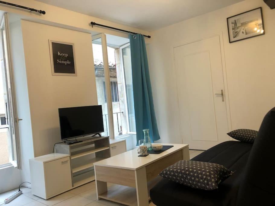 uma sala de estar com um sofá e uma televisão em Superbe appartement meublé refait à neuf em Montélimar
