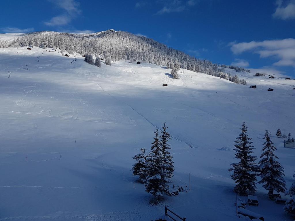 Obiekt AG Apartments Livigno centro zimą
