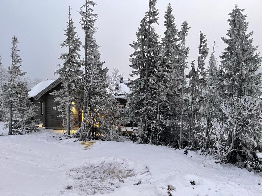 Mountain Holiday Homes - Ottsjö, Trillevallen -Sweden - Holiday Home