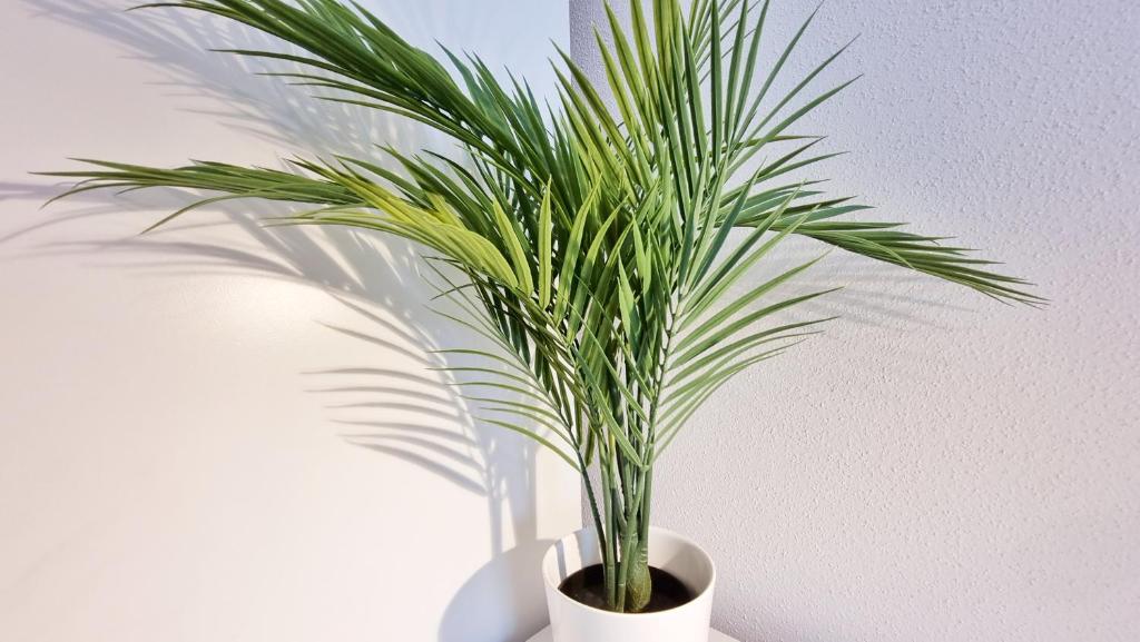 Chez JM - Calme - Chic - Fibre - Relax BNB – photo 37