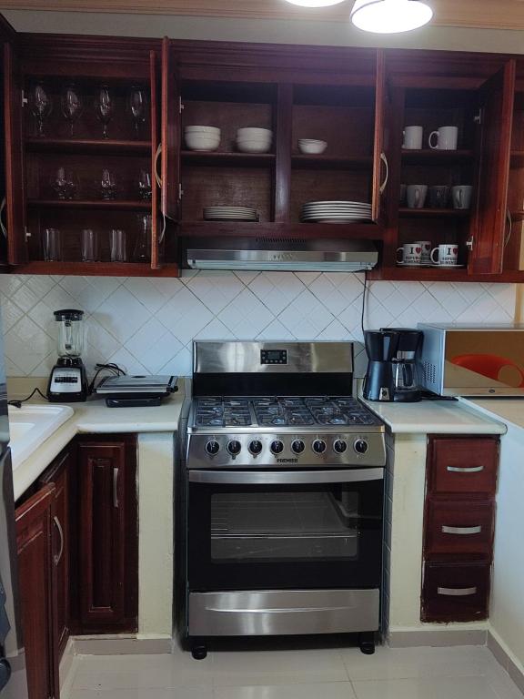 Kuchyň nebo kuchyňský kout v ubytování Vip y Rent car Henry apartamento amueblado