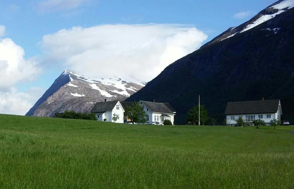 a house in a field with a mountain in the background at Dønhaug Gjestegard in Uskedalen