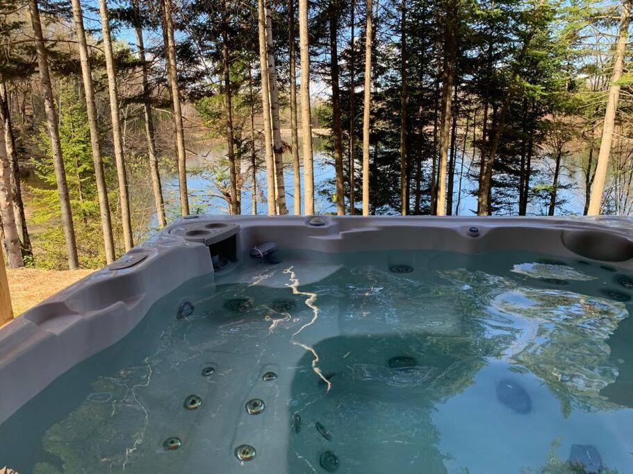 a hot tub in a backyard with trees in the background at Chalet ski-in/ski-out jacuzzi lac #CITQ:305992 in Saint-Faustin