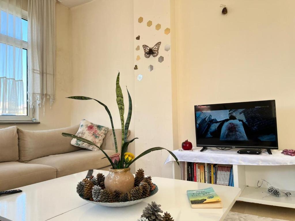 Arsel suit, Istanbul Updated 2024 Prices