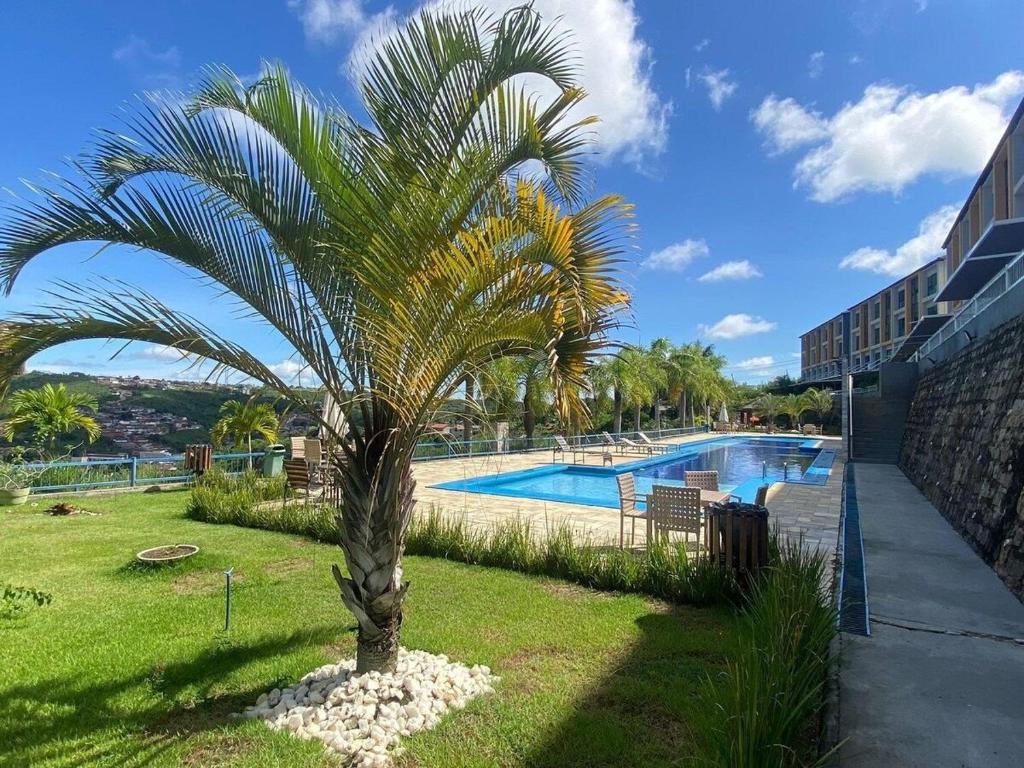 una palmera en un patio junto a una piscina en Flat dos Sonhos Bananeiras en Bananeiras