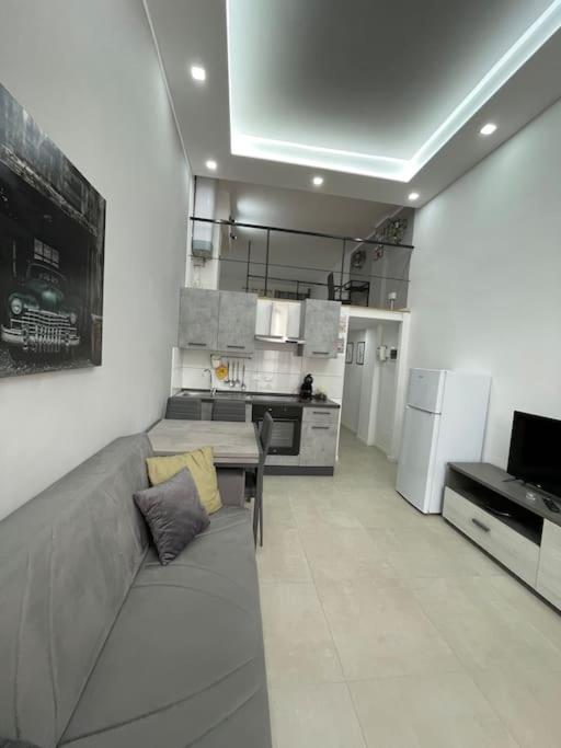 Il comprend un salon avec un canapé et une cuisine. dans l'établissement Loft Alby 10 ristrutturato nuovo, à Turin