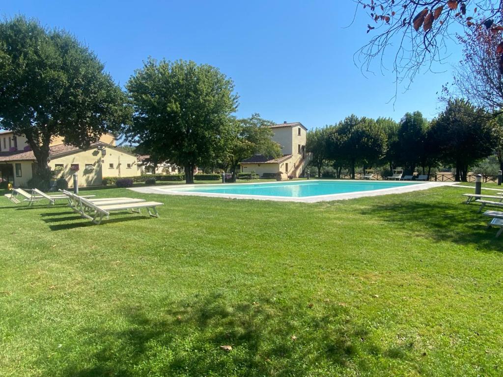 a swimming pool with benches in a grass field at La Locanda dei Golosi in Bosco