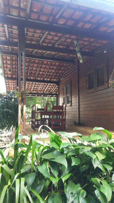 a patio with a wooden roof and some plants at Casa de madeira A 6km de Guaramiranga in Pacoti