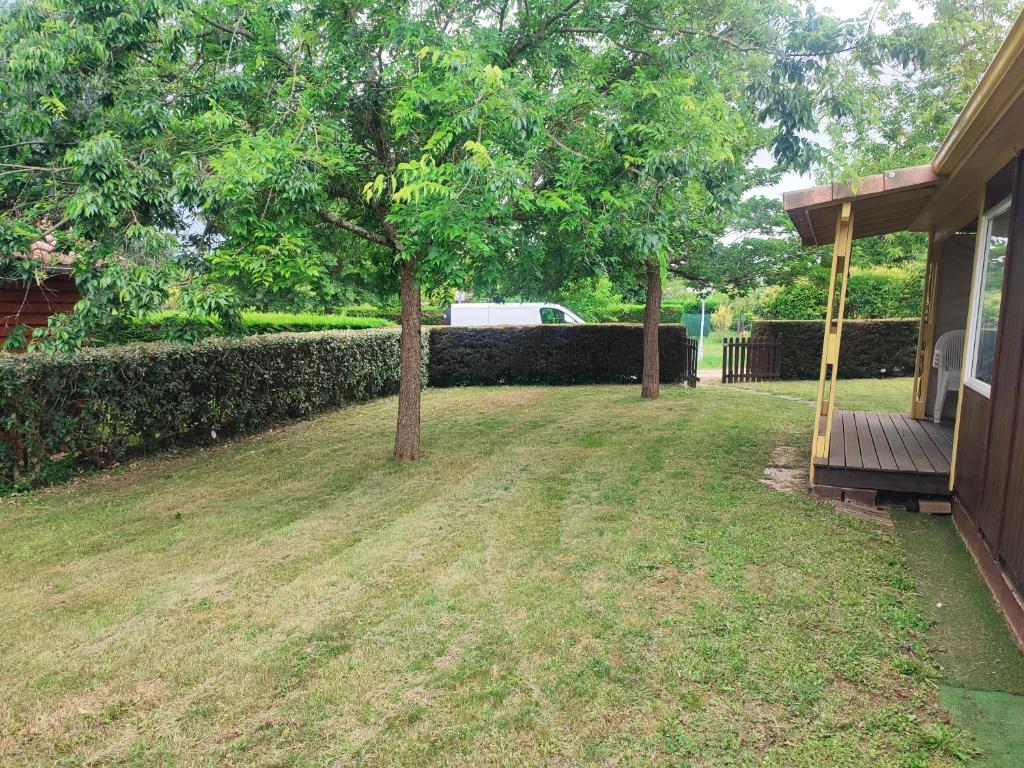 a yard with a tree next to a house at Grand chalet en bois climatisé avec vue sur le lac in Saramon