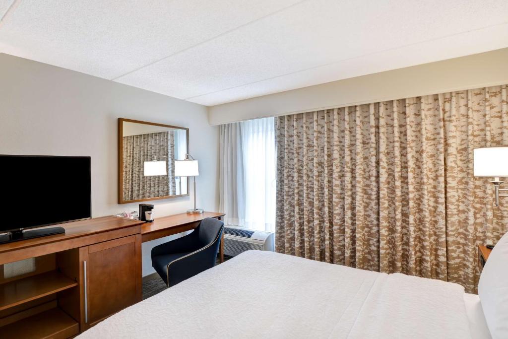 Hampton Inn Albany-Wolf Road photo