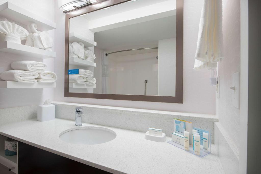 Hampton Inn & Suites Atlanta-Galleria photo